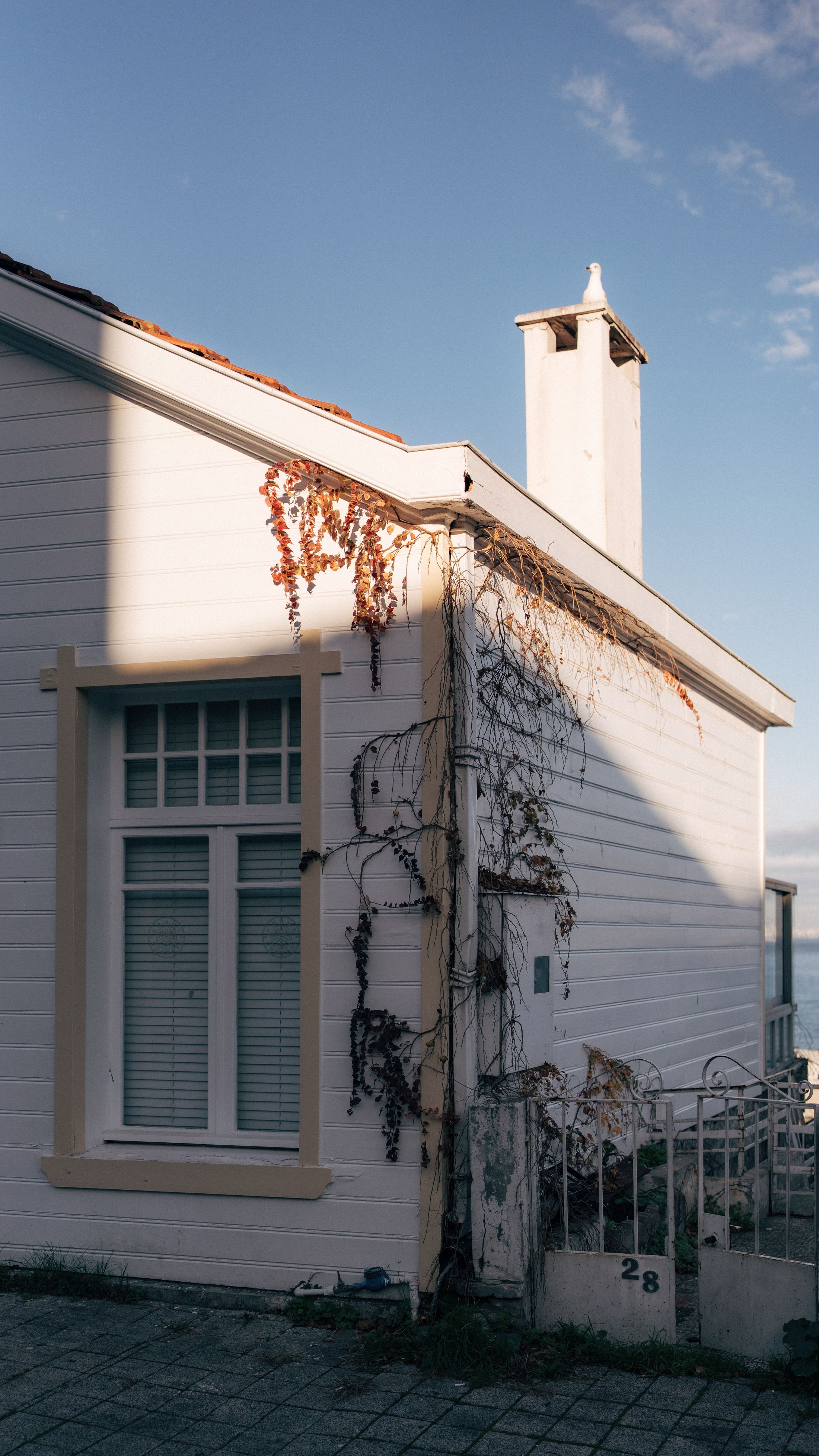 A white weatherboard cottage with blue-green shutters, climbing vines and a glimpse of the sea.